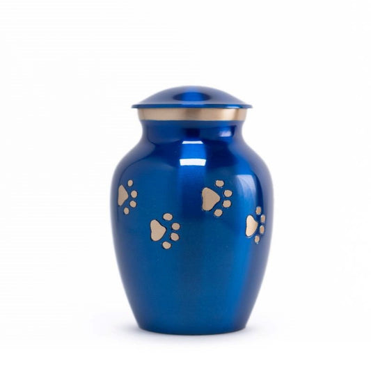 Glossy Blue with Gold Paw Detail - 30 cubic inch
