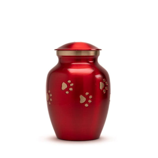 Glossy Red with Gold Paw Detail - 30 cubic inch