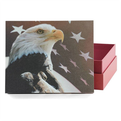Explorer Scattering Urn Freedom