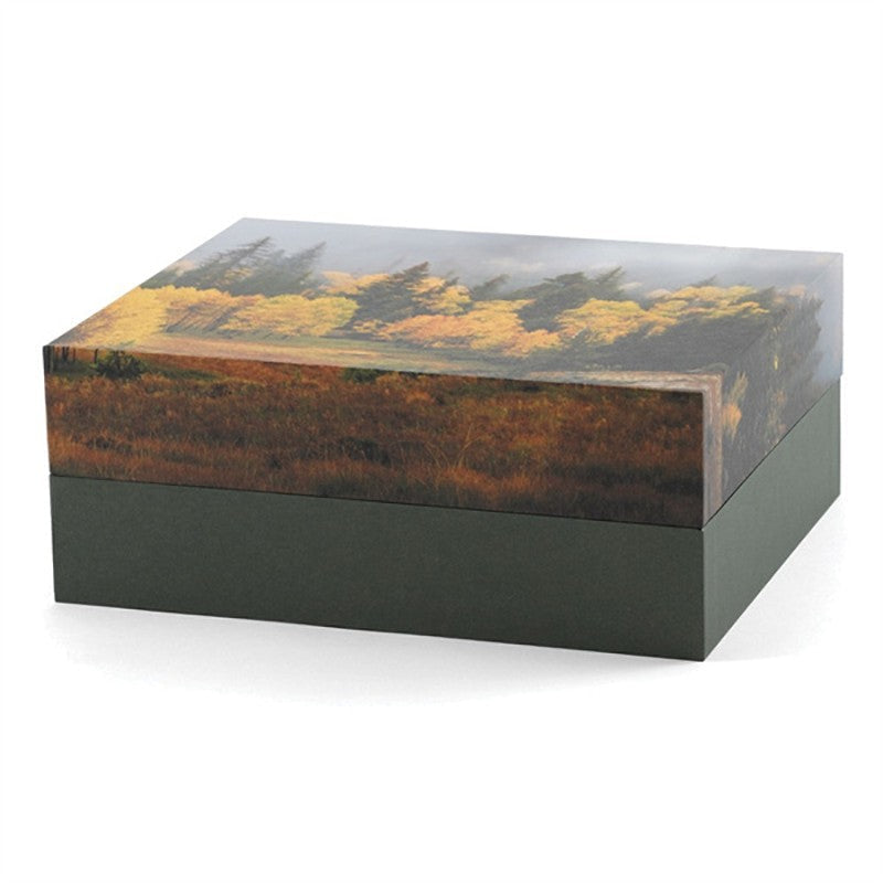 Explorer Scattering Urn Misty Autumn