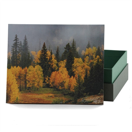 Explorer Scattering Urn Misty Autumn