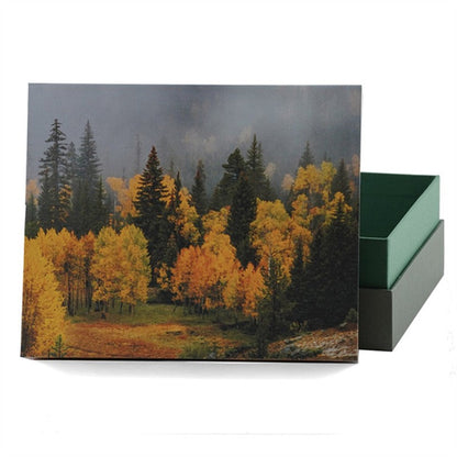 Explorer Scattering Urn Misty Autumn